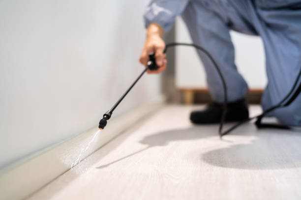 Licensed Pest Control service in Sun Prairie, WI - Show Me Pest Control