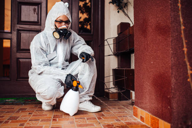 Reliable Ant Control contractor in Sun Prairie, WI by Show Me Pest Control